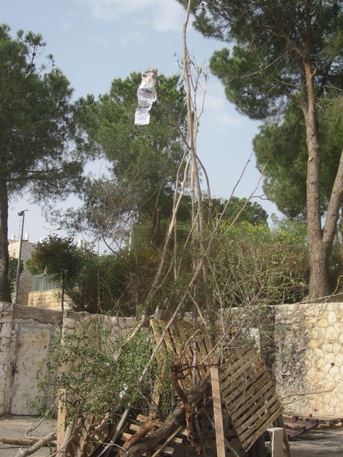 הפילוג הליטאי: ילדים צהלו סביב 'בובת המן' עשויה 'הפלס'