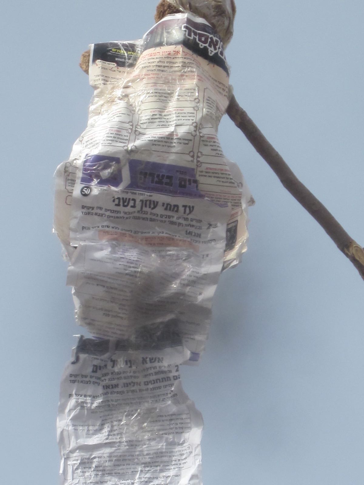 הפילוג הליטאי: ילדים צהלו סביב 'בובת המן' עשויה 'הפלס'