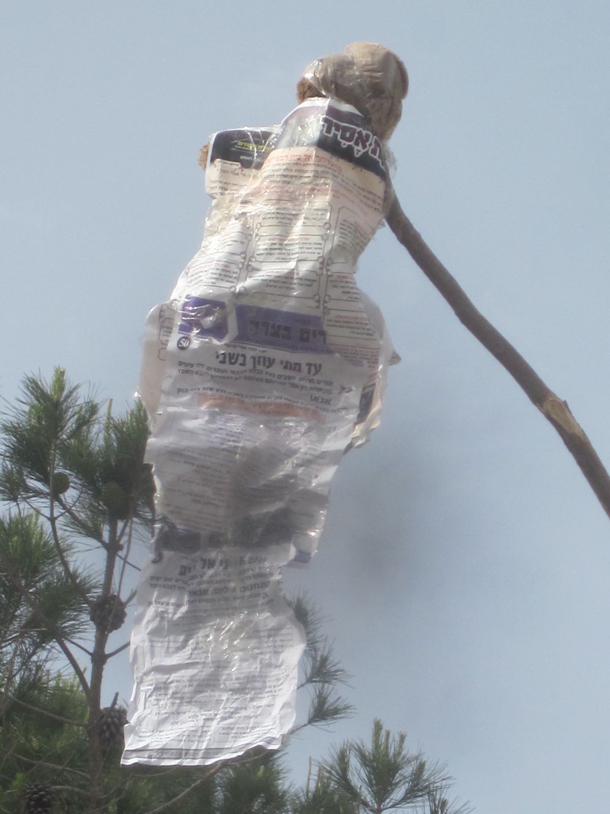 הפילוג הליטאי: ילדים צהלו סביב 'בובת המן' עשויה 'הפלס'