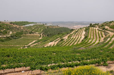 תצפית בגוש עציון לזכר שלושת הנערים ועזרא שוורץ הי"ד