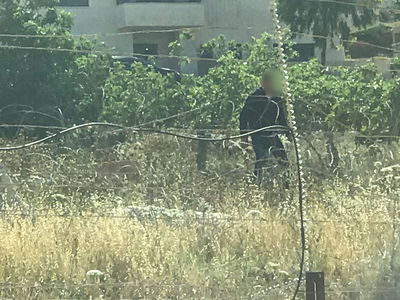 לוחמי מג"ב עצרו שני פלסטינים שיידו אבנים