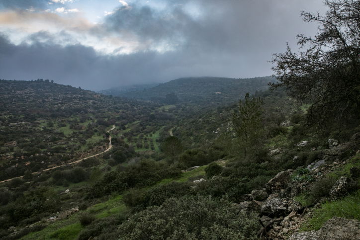 גשום בהרי ירושלים, ארכיון