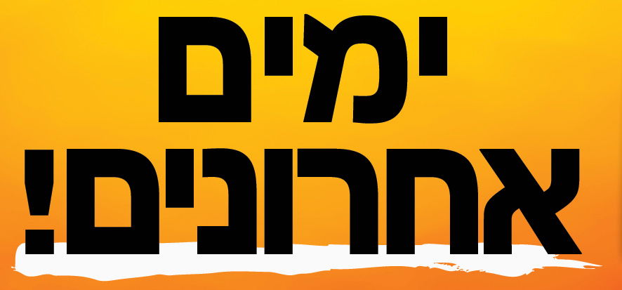 ימים אחרונים למכירה הסינית. איחוד הצלה