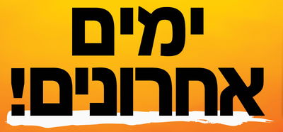 ימים אחרונים למכירה הסינית. איחוד הצלה