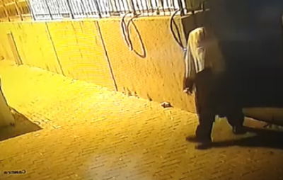 צפו בתיעוד הבלעדי