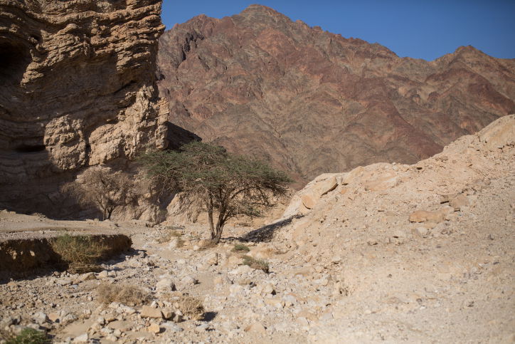 הרי אילת בגבול מצרים השבוע