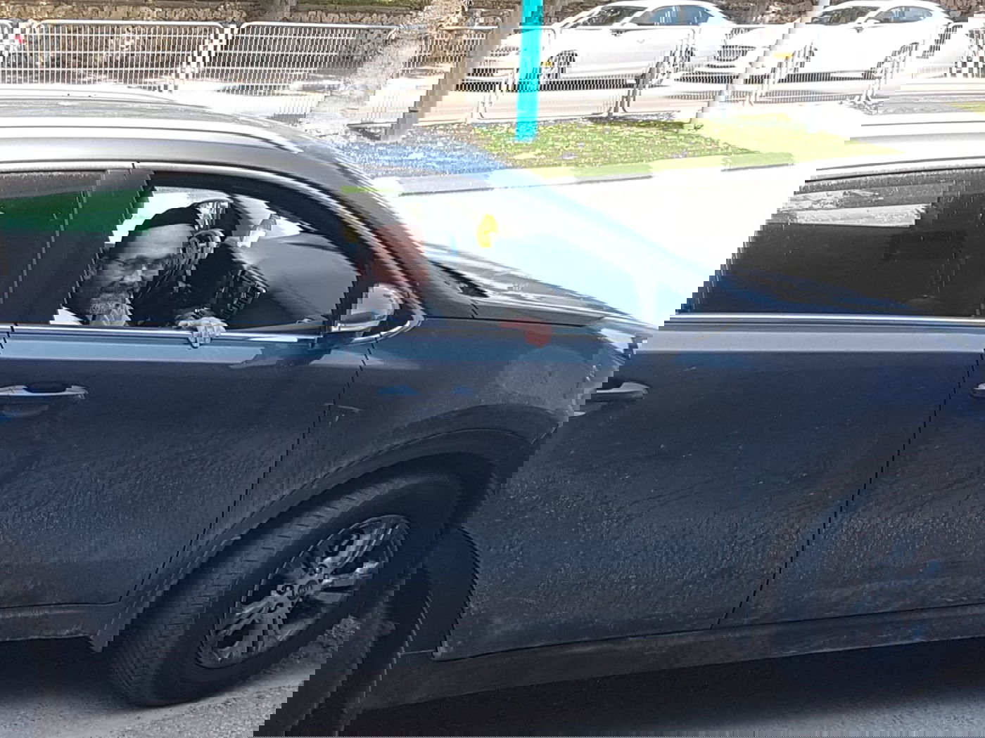 מונטג בדרך הביתה