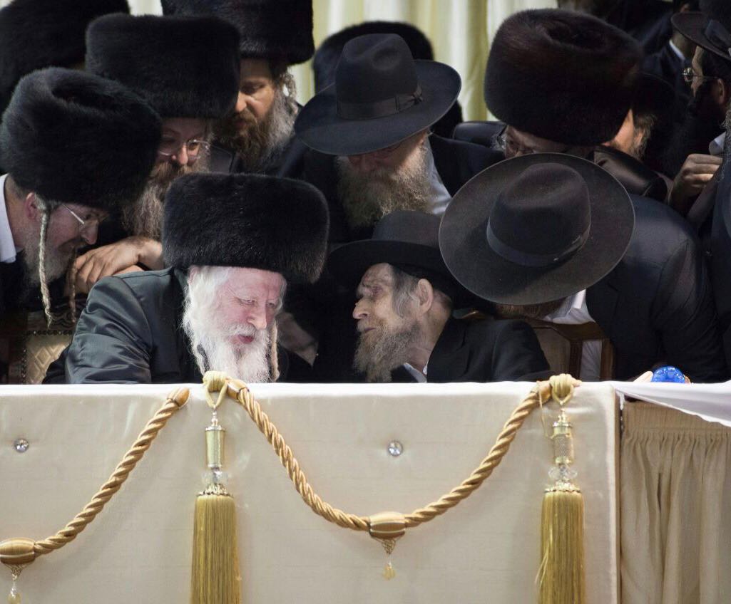 הקשר העז בין הגראי"ל שטיינמן זצ"ל לגדולי האדמו"רים