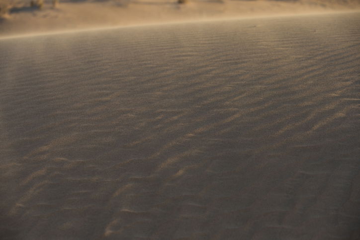 טיול דרך המצלמה לדיונות החול ליד אילת