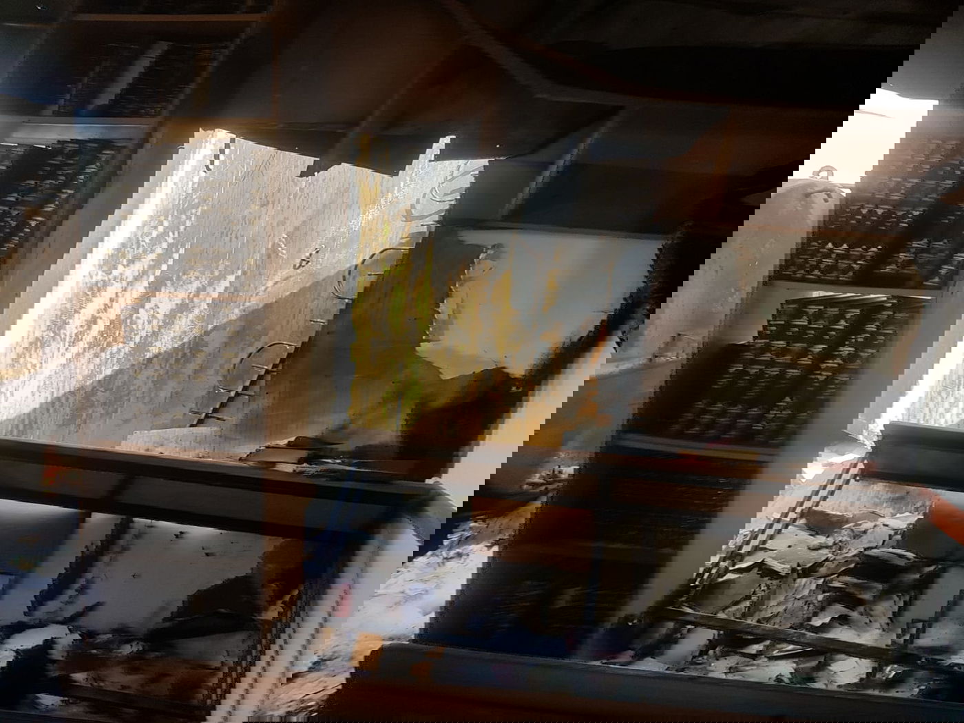 שריפת ענק בבית שמש; בית כנסת עלה בלהבות