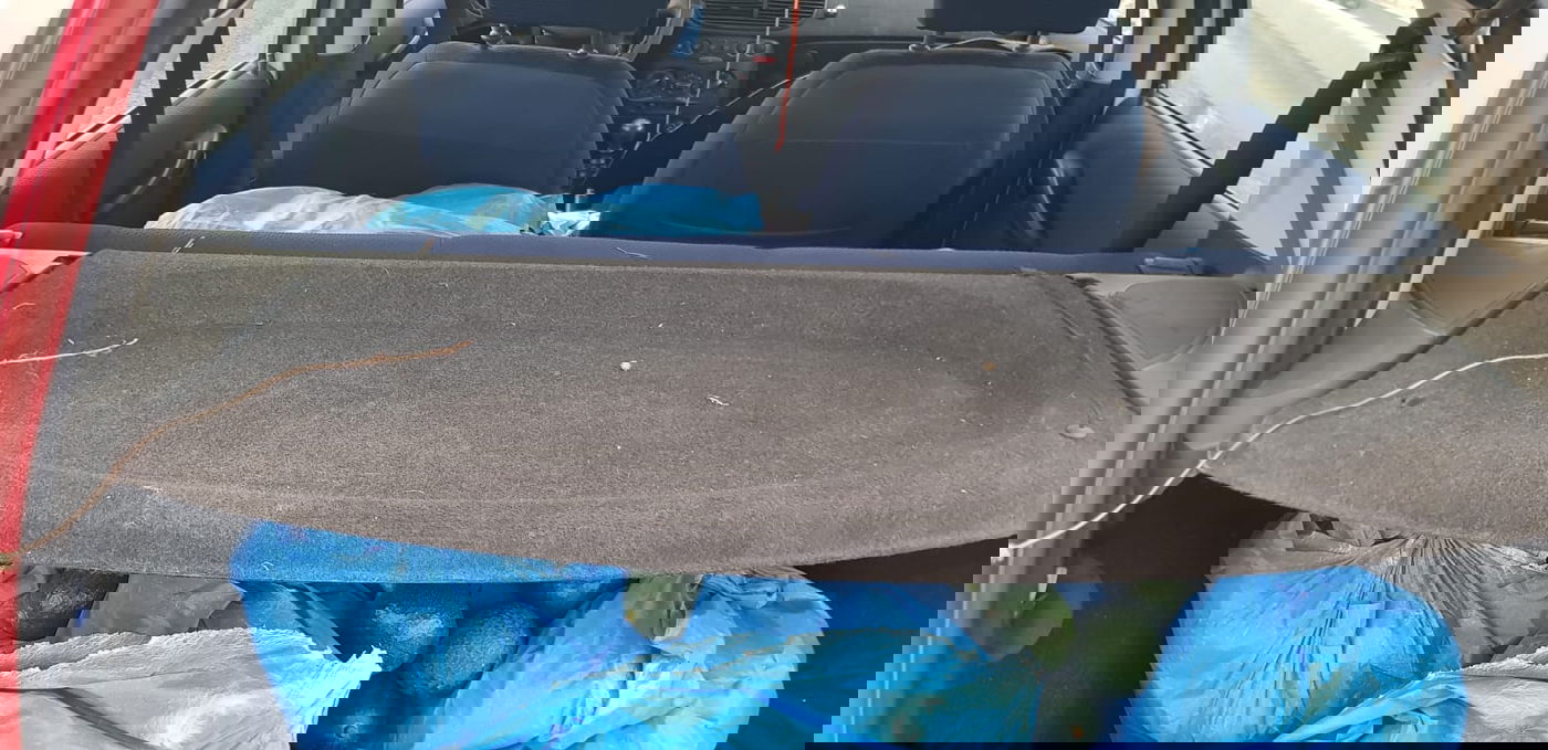 כך לוחמי מג"ב מנעו גניבת רבע טון אבוקדו