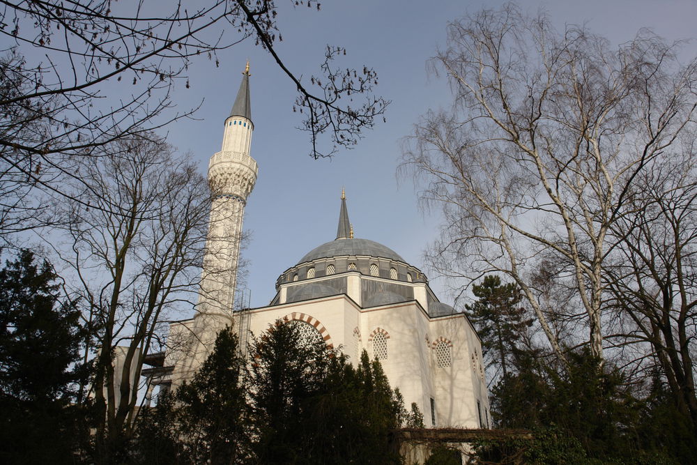 "מחקר": אין קשר בין מוסלמים לאנטישמיות