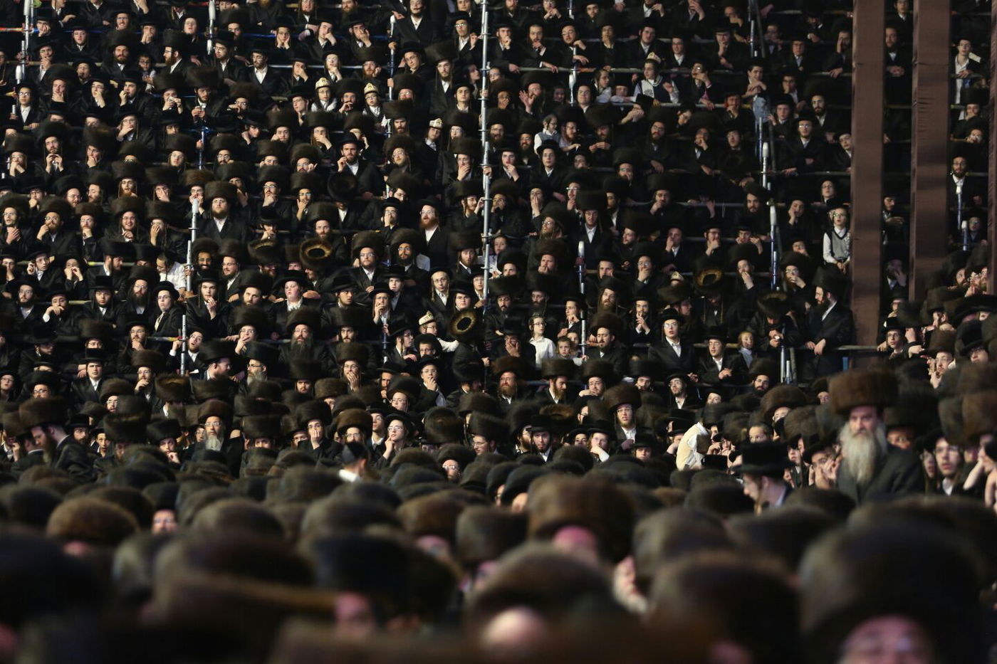 האדמו"ר מגור והגר"ש כהן השתתפו בשמחת בית בעלזא