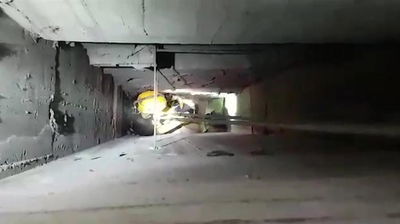 לוחמי האש חילצו גור חתולים מפיר עמוק • צפו