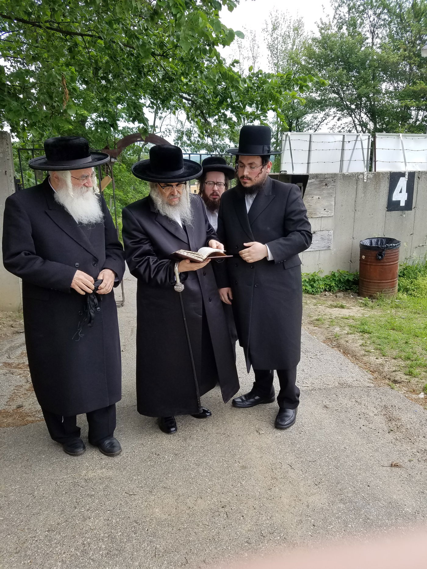 כינוס הרבבות של חסידות סאטמר • גלריה