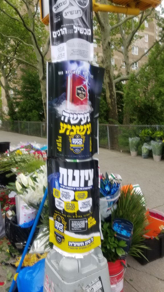 כינוס הרבבות של חסידות סאטמר • גלריה