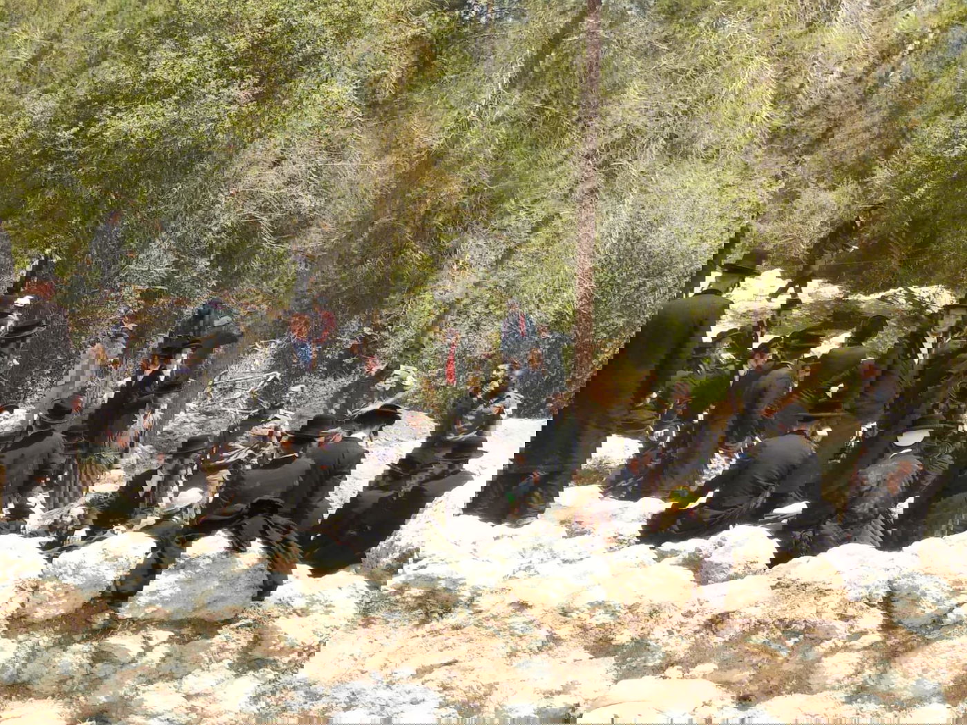 כביש 38: המפגינים החרדים השתלטו על שטח הקברים