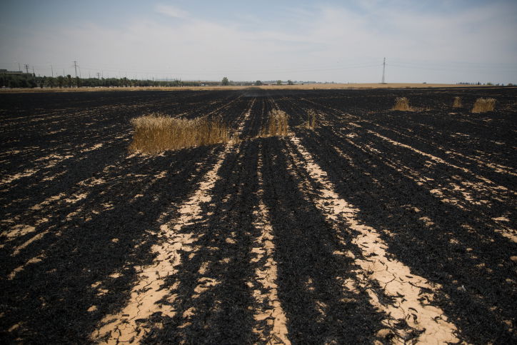 נאבקים באש:  כך נראה  טרור העפיפונים. צפו