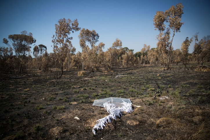 נאבקים באש:  כך נראה  טרור העפיפונים. צפו