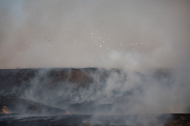 נאבקים באש:  כך נראה  טרור העפיפונים. צפו
