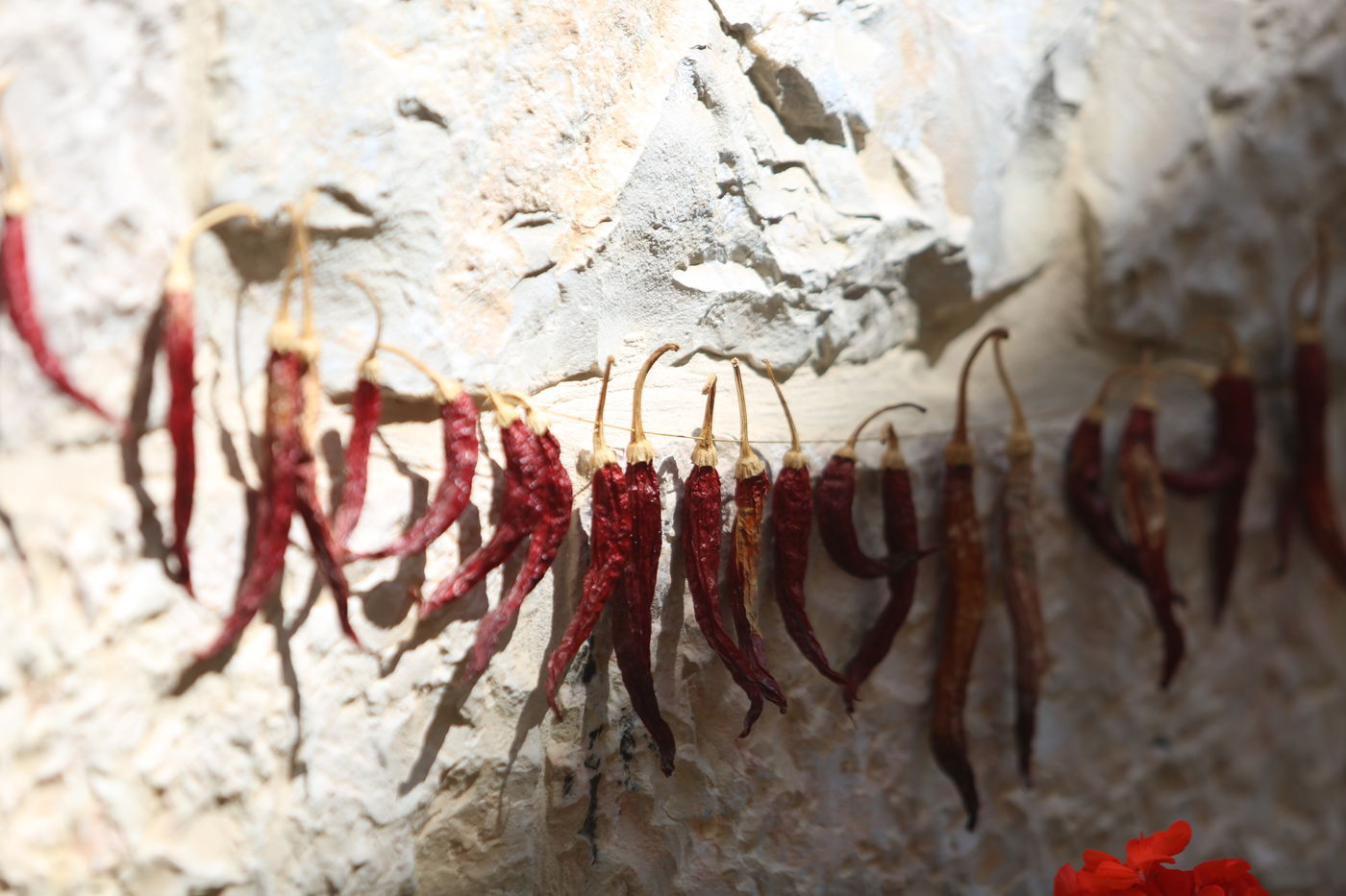 נחלאות: מדת"לים ועד נשות שאלים • גלריה