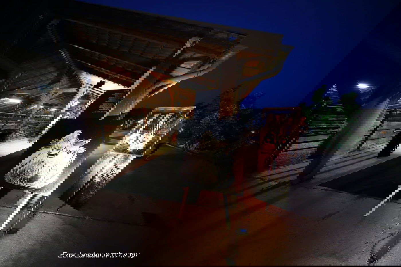 ערב אמנות ואמונה: האמנות החרדית מתעוררת