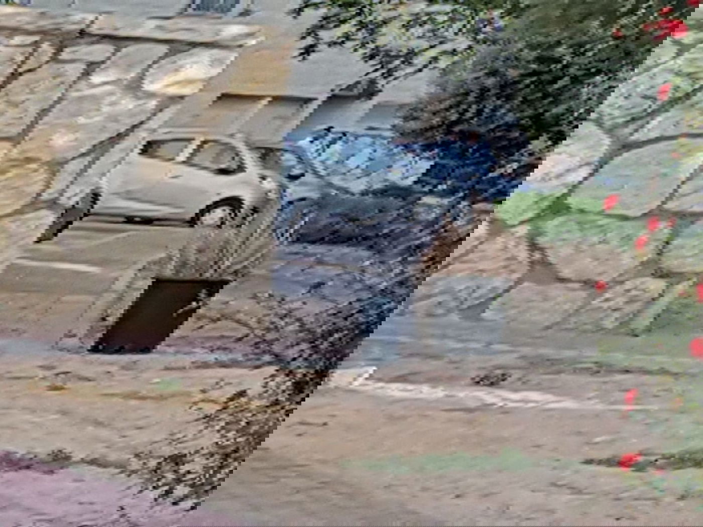 ללא שלומי אמונים: הפגישה הסודית בין אבוטבול לבין נציגי דגל התורה