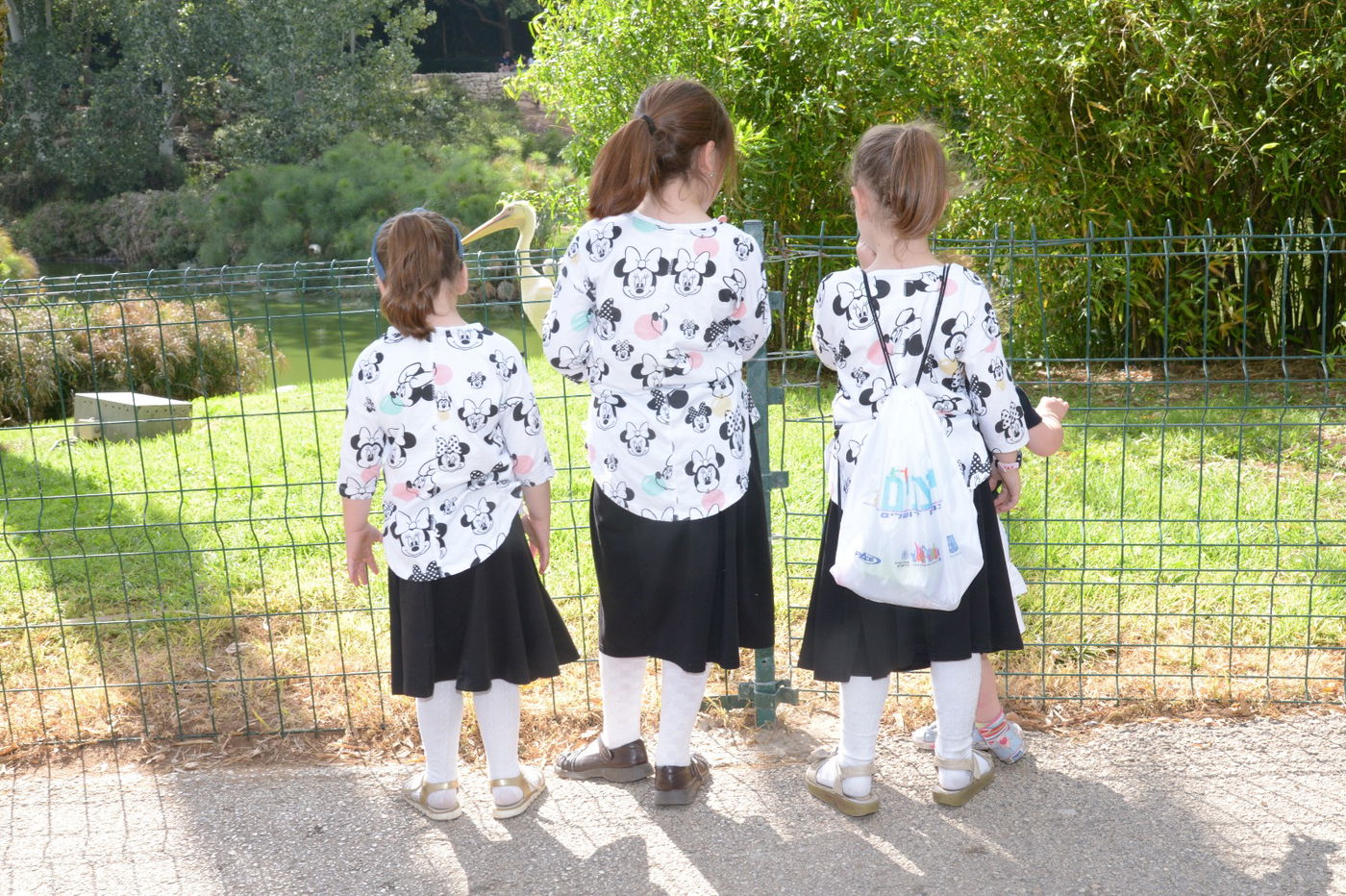 חוייה מיוחדת לילדי הצהרונים במגזר החרדי