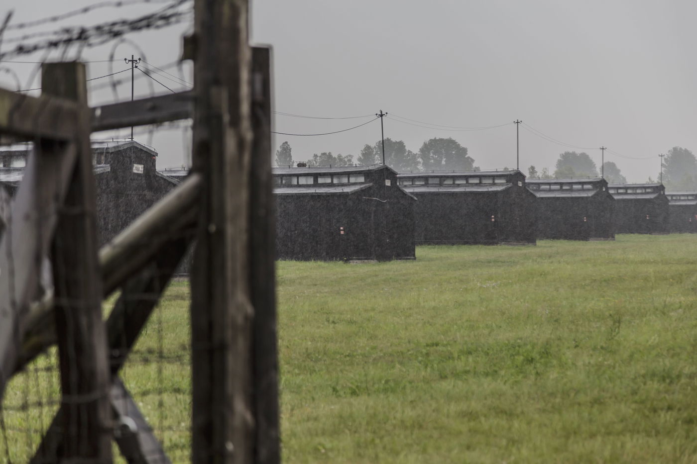 מסע הרגש והאמונה של "קול חי" בפולין • גלריה