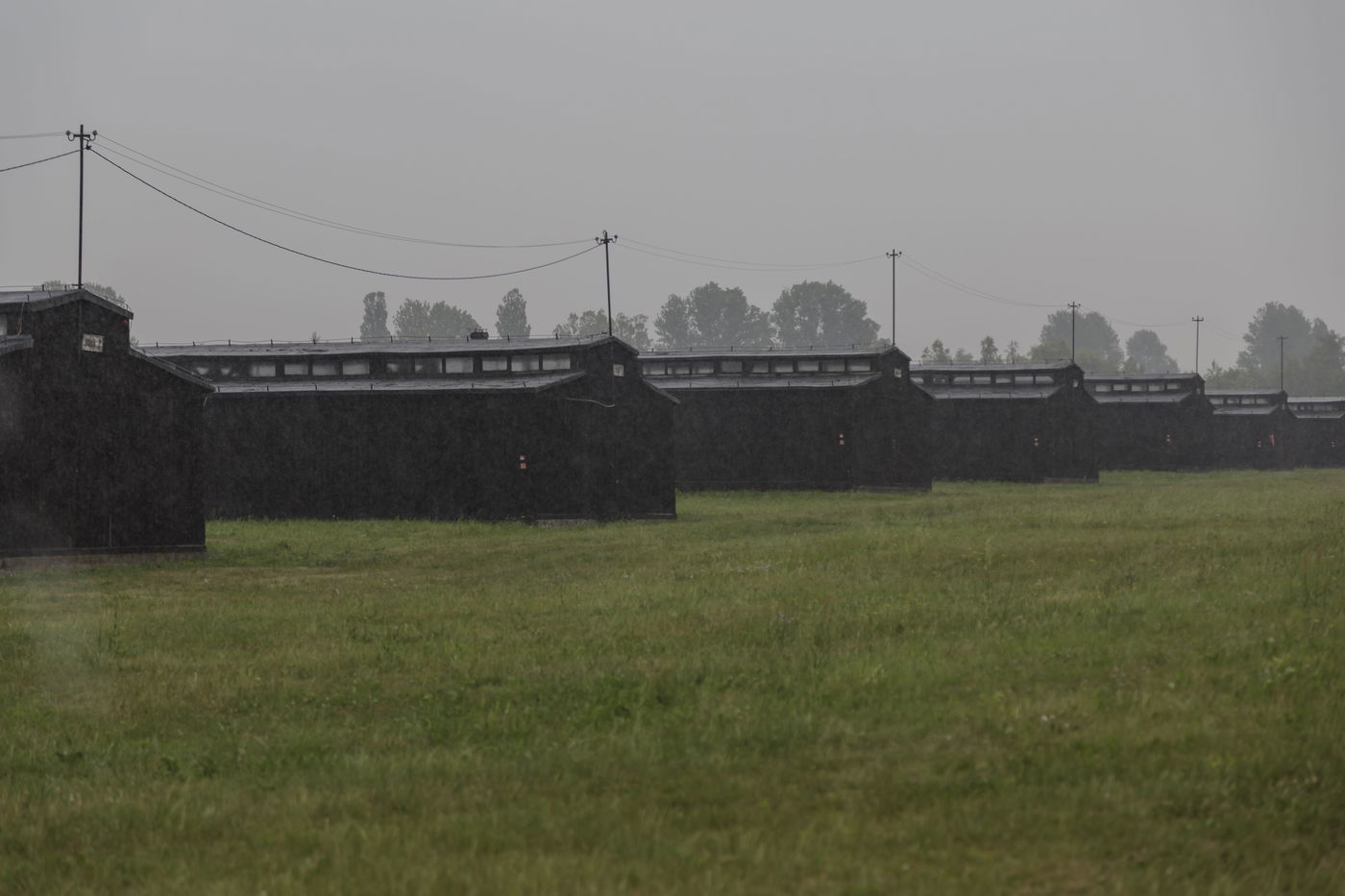 מסע הרגש והאמונה של "קול חי" בפולין • גלריה