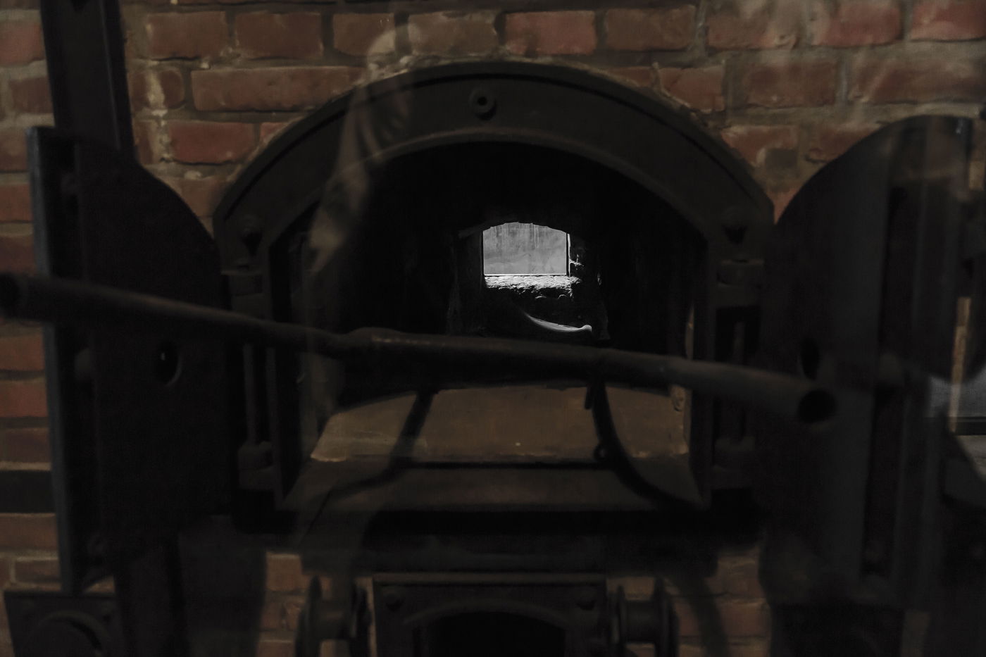 מסע הרגש והאמונה של "קול חי" בפולין • גלריה