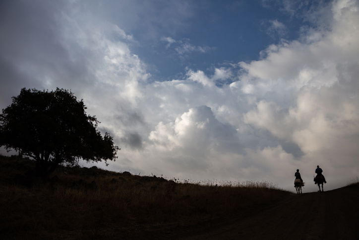 "קאובויים" ישראלים ברמת הגולן • גלריה