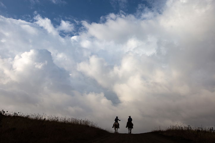"קאובויים" ישראלים ברמת הגולן • גלריה