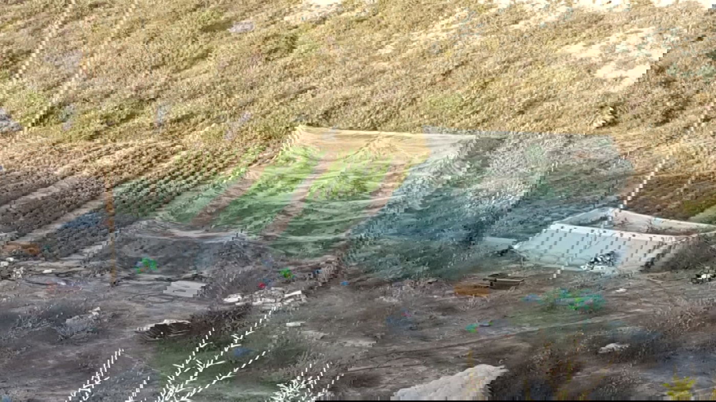 חממת המירחואנה נתגלתה מלאה ציוד גנוב