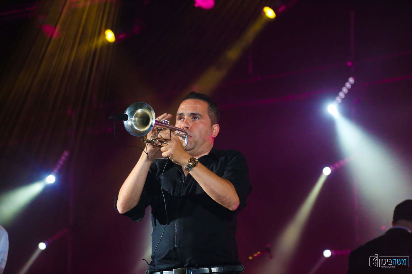 אברהם פריד ריגש את היכל התרבות  • גלריה