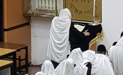 האדמו"ר בתפילה, הבוקר