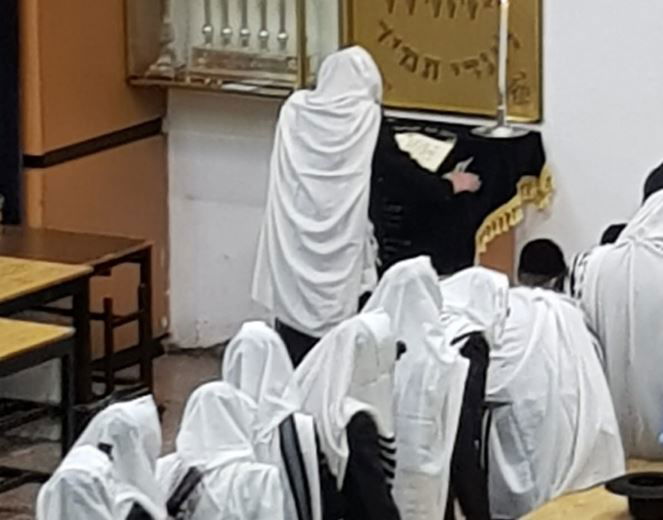 האדמו"ר בתפילה, הבוקר