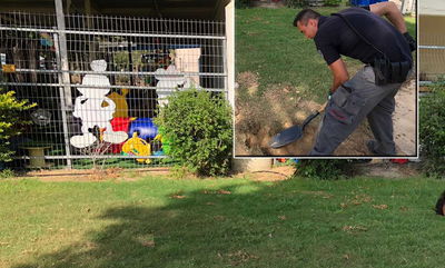 הגן והנפילה