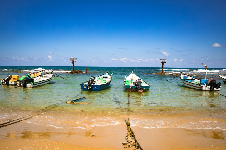 תחזית: עלייה קלה בטמפרטורות, עומסי חום