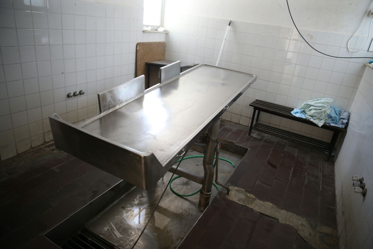 תכירו | "אחרי כל מת, אני מפעיל שיר שמח. אחרת אני אתרסק"