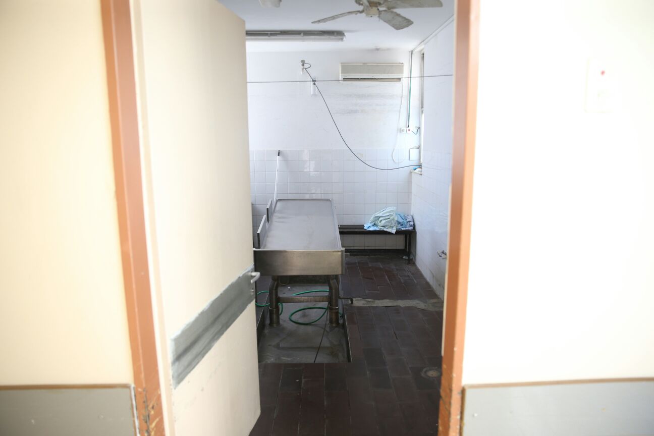 תכירו | "אחרי כל מת, אני מפעיל שיר שמח. אחרת אני אתרסק"