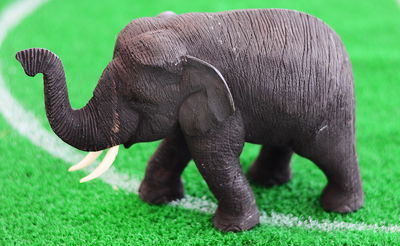 אילוסטרציה