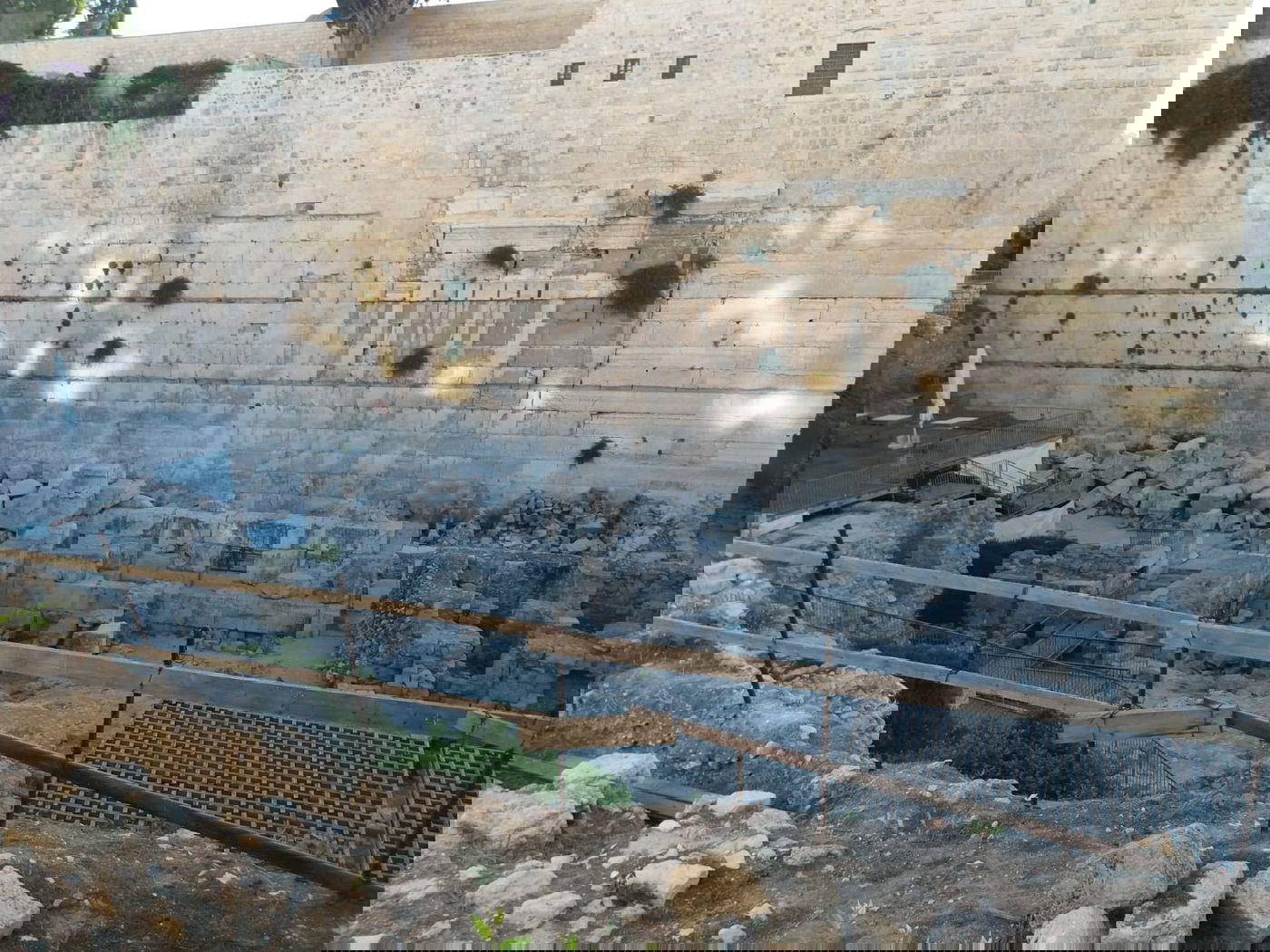 הרחבה הרפורמית הבוקר, ריקה