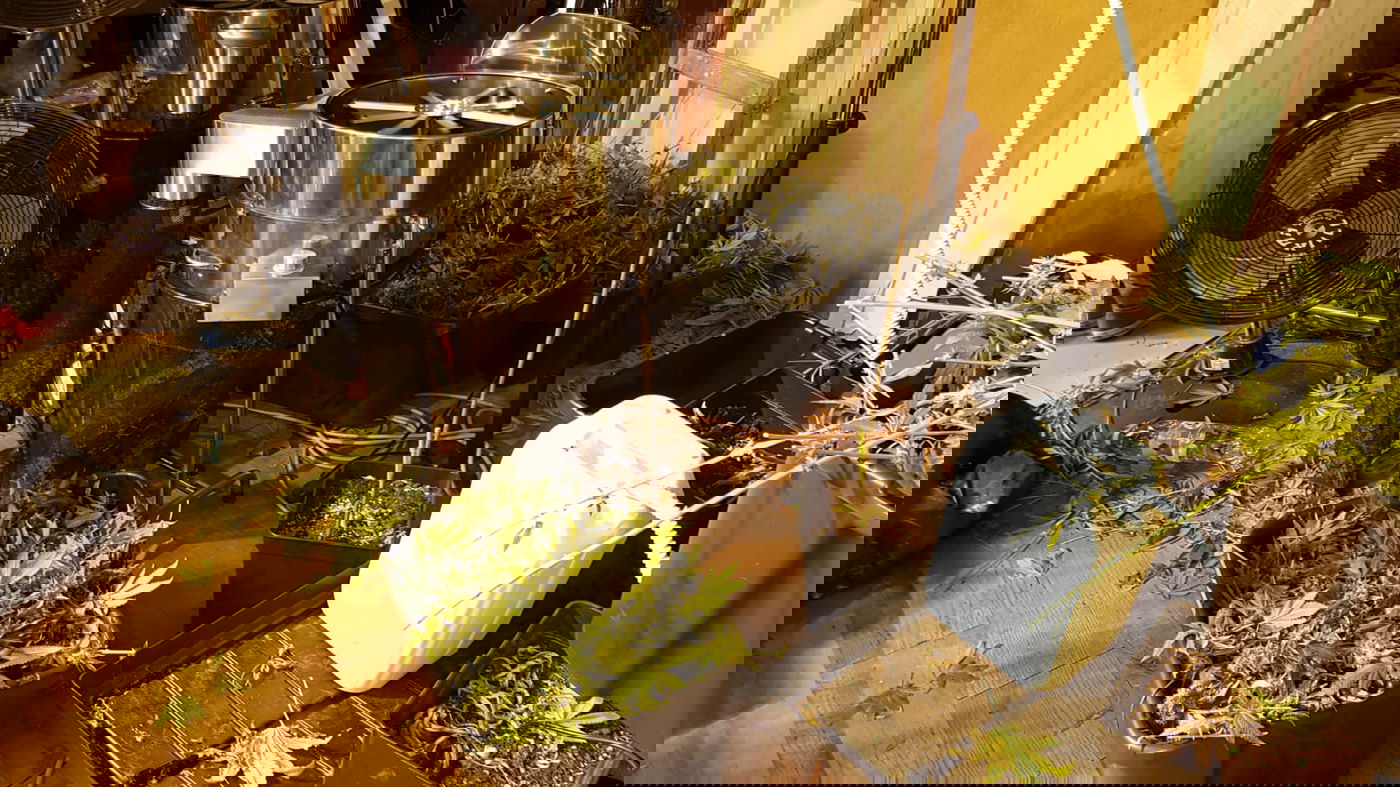 ה'מעבדה' שנחשפה