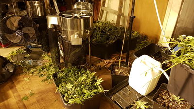 ה'מעבדה' שנחשפה