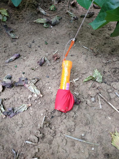 חבלני המשטרה נאבקים בבלוני הנפץ בדרום