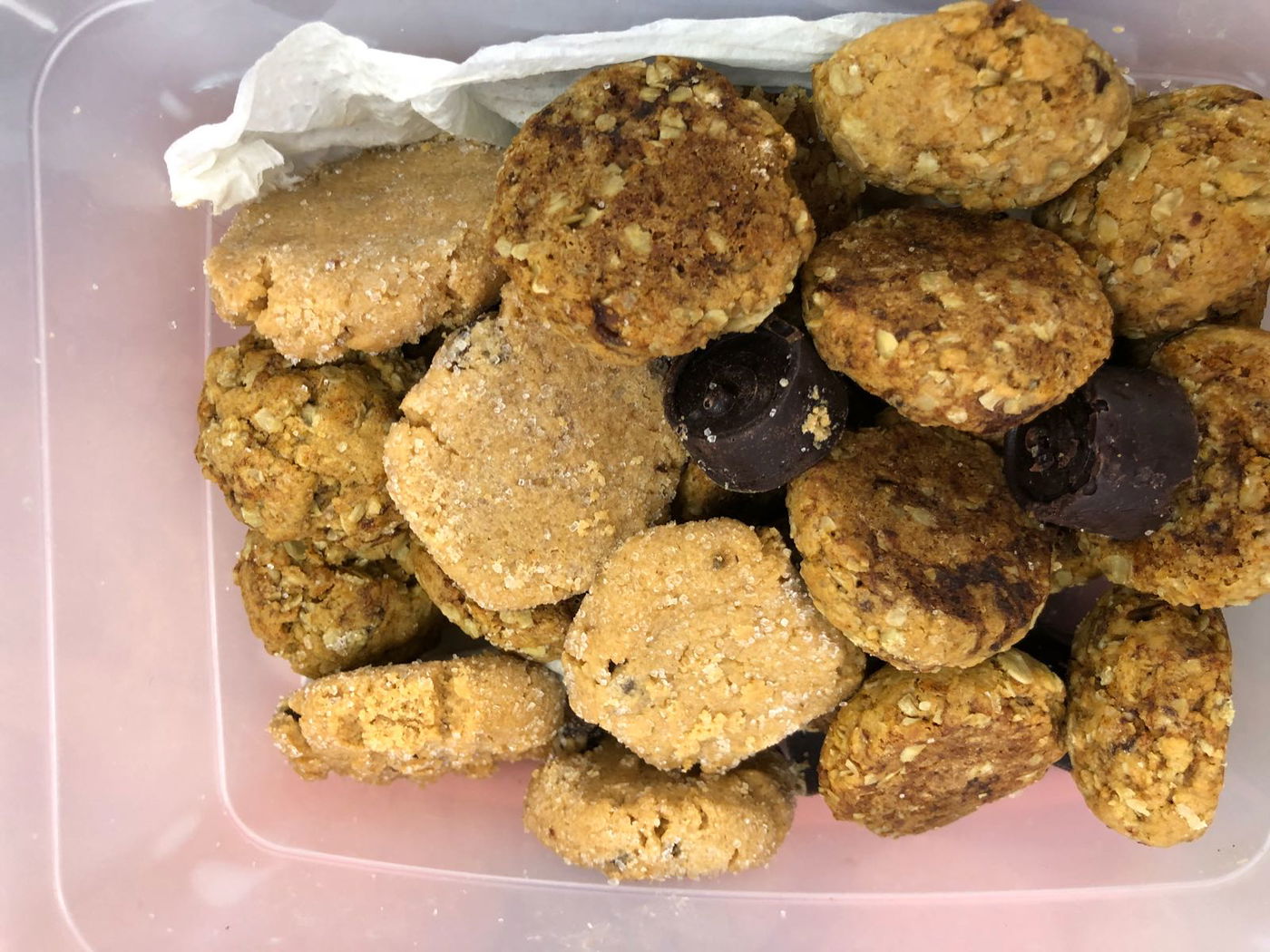 עוגיות הפצפוצים במקרר התגלו כסם מסוכן