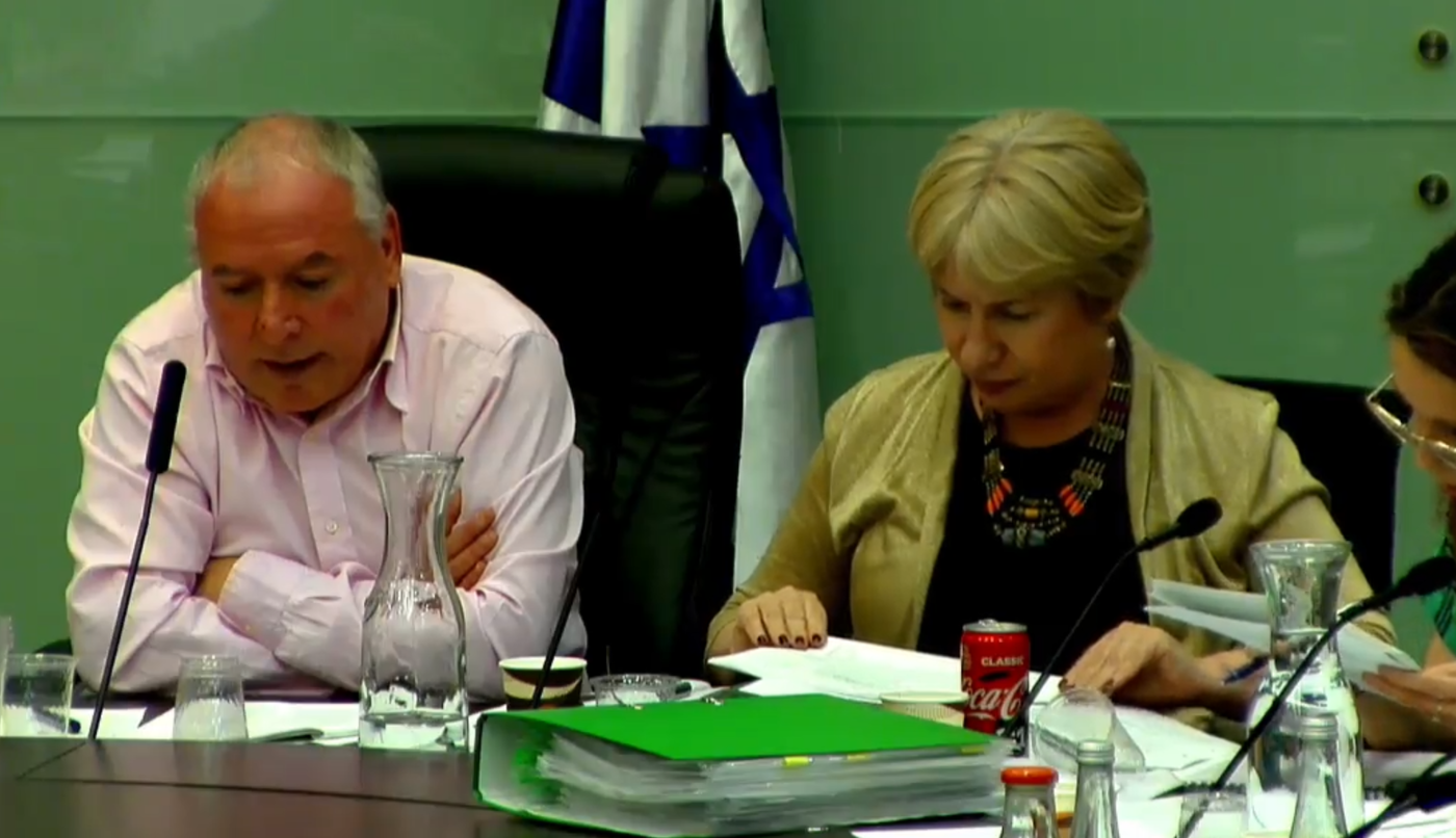 דיון הוועדה, הצהריים