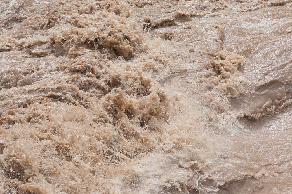 אילוסטרציה