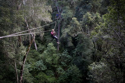 אילוסטרציה